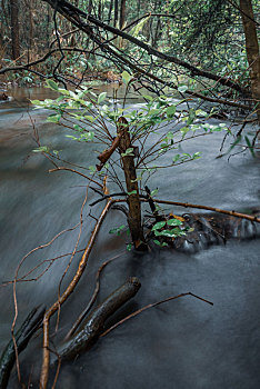 高山流水