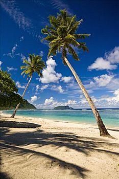 海滩,乌波卢岛,萨摩亚群岛