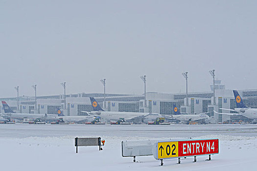 雪,冬天,飞机,东方,围裙,慕尼黑机场,巴伐利亚,德国,欧洲