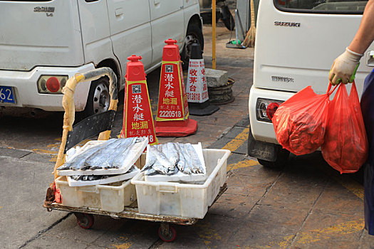 开海第二天的海鲜市场,各类海产品新鲜上市