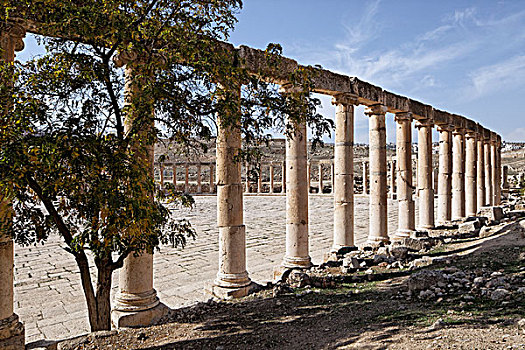 柱子,椭圆,古罗马广场,古老,罗马,城市,杰拉什,局部,戴克波利斯,约旦,亚洲