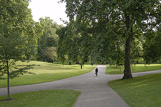 英格兰,伦敦,绿色公园,女人,走,风景
