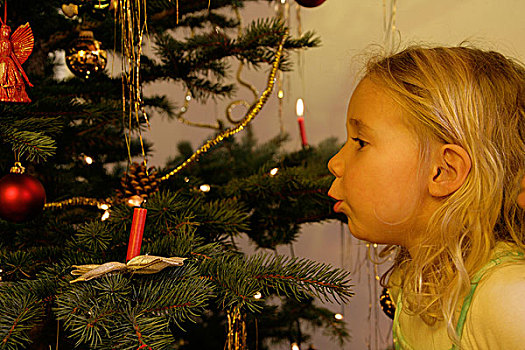 小女孩,圣诞树