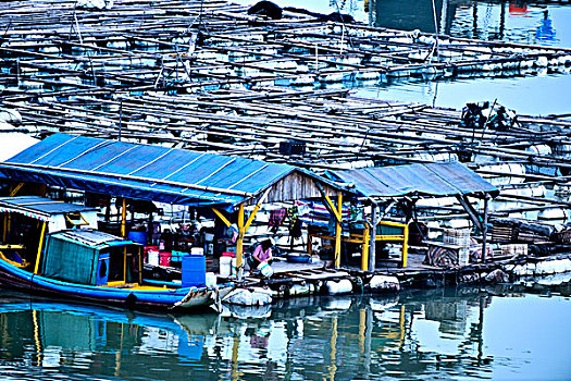 福建霞浦,渔家,渔船,养殖