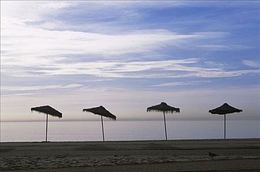 海滩,托雷莫里诺斯,哥斯达黎加,西班牙