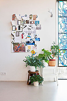 盆栽,多样,凳子,仰视,靠近,彩色玻璃窗
