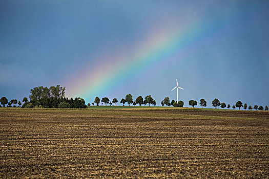德国,彩虹,高处,地点,树,道路,风轮机