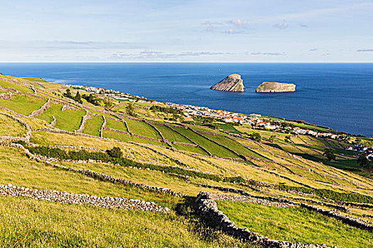 农田,火山岩,石墙,正面,风景,岛屿,亚速尔群岛,葡萄牙