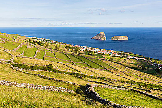 農田,火山巖,石墻,正面,風景,島嶼,亞速爾群島,葡萄牙