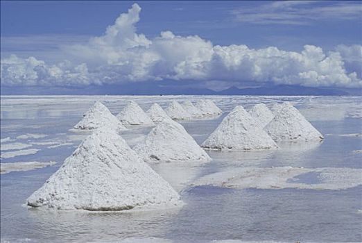 盐,挖掘,盐湖,乌尤尼,玻利维亚