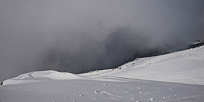风景,积雪,山,惠斯勒,不列颠哥伦比亚省,加拿大