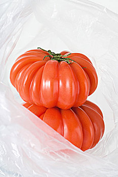 纯种西红柿,塑料袋,特写