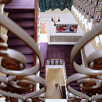楼梯井,别墅,紫色,地毯