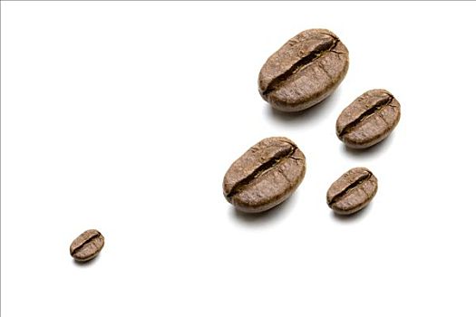 咖啡豆,多样,尺寸