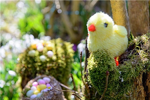 鸡,复活节彩蛋