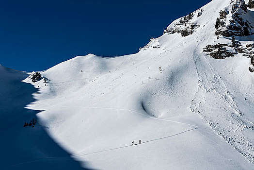 滑雪,上升,雪崩,提洛尔,奥地利,欧洲