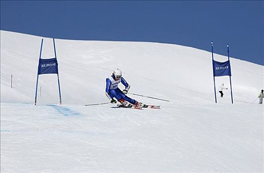瑞士人,高山滑雪板,冠军,2009年,恩加丁,格劳宾登州,瑞士,欧洲