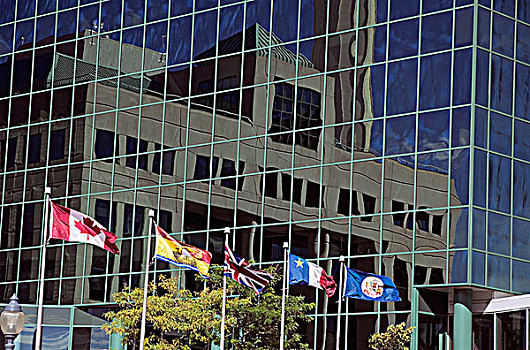 旗帜,市政厅,新布兰斯维克,加拿大