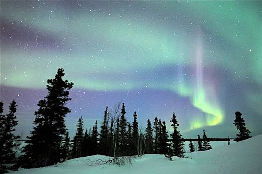 北极光,加拿大西北地区,2008年,加拿大