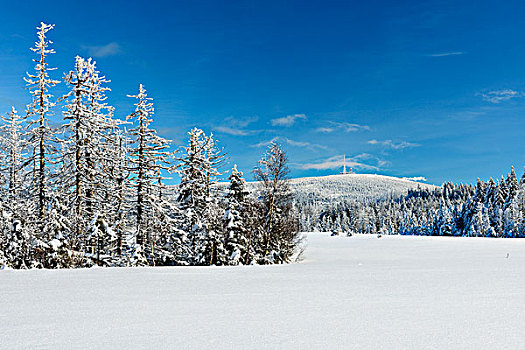 积雪,冬季风景,山,布罗肯,背影,哈尔茨山,国家公园,靠近,下萨克森,德国,欧洲