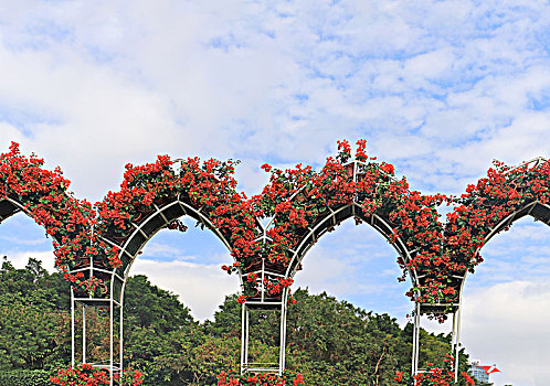 莲花山公园