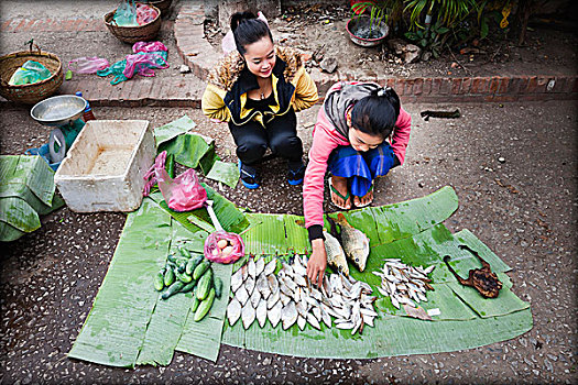 销售,鱼,市场,琅勃拉邦,老挝