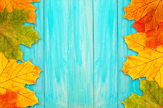 秋天,蓝色,木板