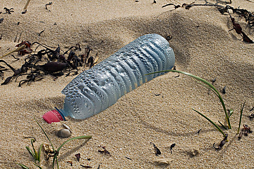 特写,塑料瓶,左边,海滩