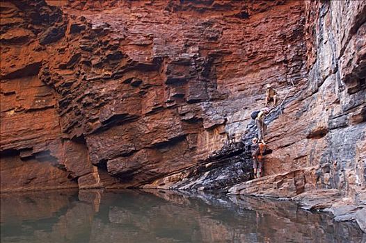 栏杆,水池,峡谷,卡瑞吉尼国家公园,区域,西澳大利亚