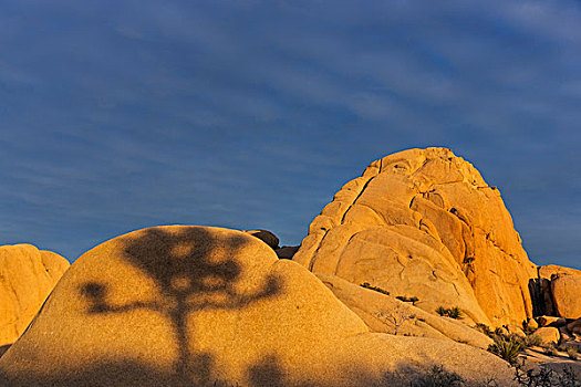 约书亚树,影子,花冈岩,漂石,落日余晖,约书亚树国家公园,加利福尼亚,美国