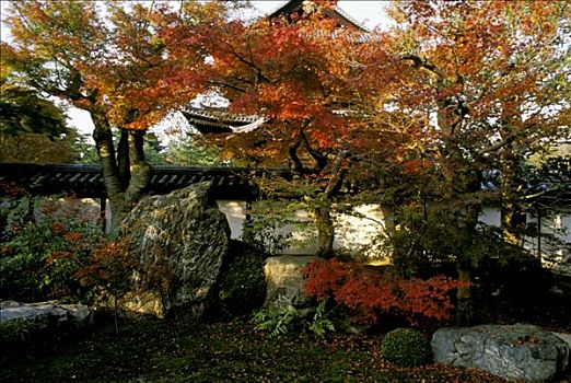 日本,京都,庙宇,室内,禅园