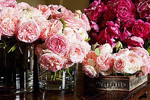 特写,苍白,粉色,玫瑰,玻璃花瓶
