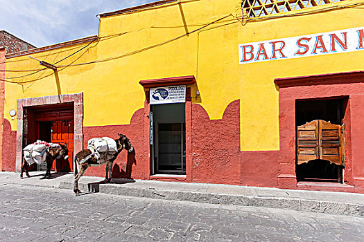 圣米格尔,墨西哥,世界遗产