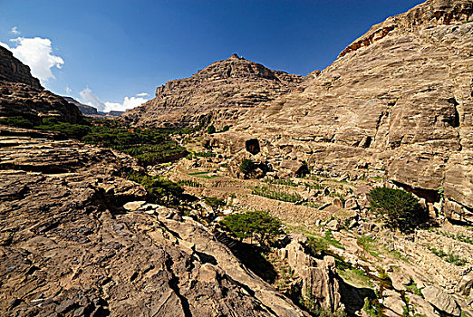 峡谷,种植园,山峦,也门,阿拉伯,中亚