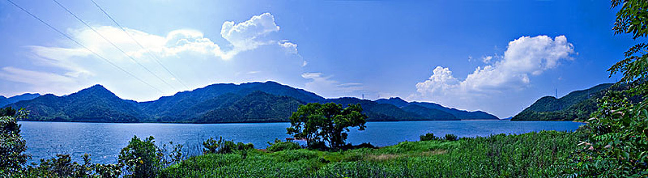 鄞州,横溪镇,金鹅湖,全景,俯瞰,绿色,生态,茶园