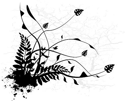 花卉图案,黑白,剪影,墨水,斑点