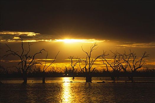 日落,湖,新南威尔士,澳大利亚