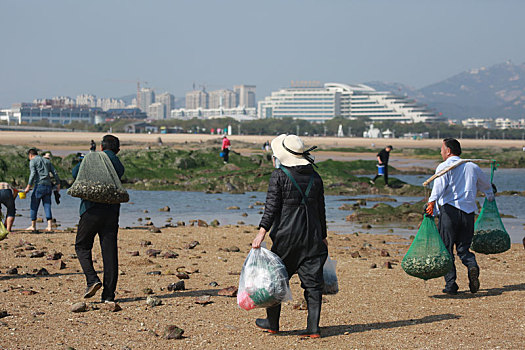 太公岛落大潮,市民登岛赶海拾贝收获多多