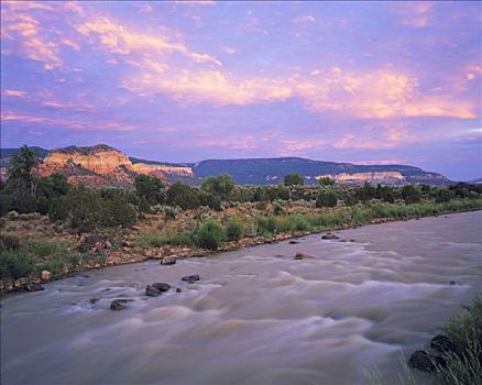 早晨,河,峡谷,荒野,新墨西哥