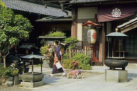 日本,浅草,女人,走,狗