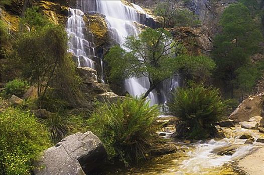 瀑布,国家公园,维多利亚,澳大利亚