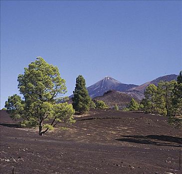 火山地貌,加纳利群岛,特内里费岛,西班牙,欧洲