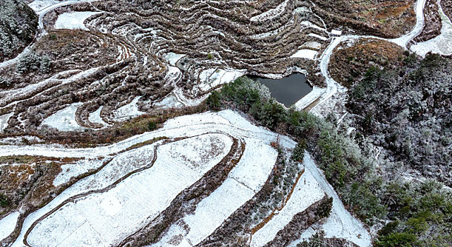 重庆酉阳,立春瑞雪兆丰年