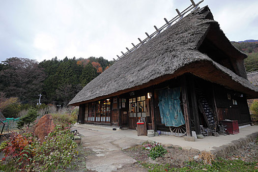 日本富士山河口湖里根场