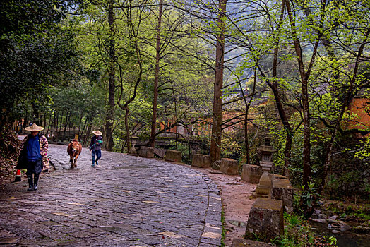 浙江天台山国清寺