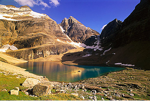 冰河,顶峰,攀升,湖,幽鹤国家公园,不列颠哥伦比亚省,加拿大