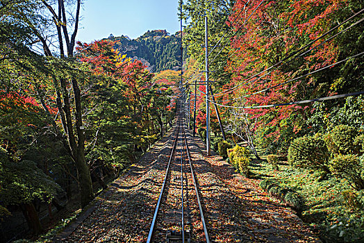 高尾山