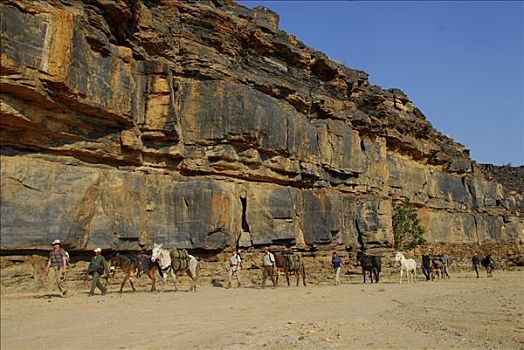 跋涉,骡子,鱼河峡谷,纳米比亚