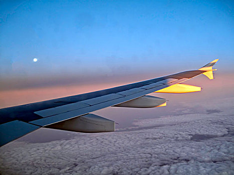 窗,空中客车,商业,客机,翼,俯视,格陵兰