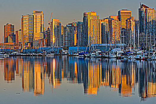 反射,建筑,水中,煤,港口,温哥华,不列颠哥伦比亚省,加拿大